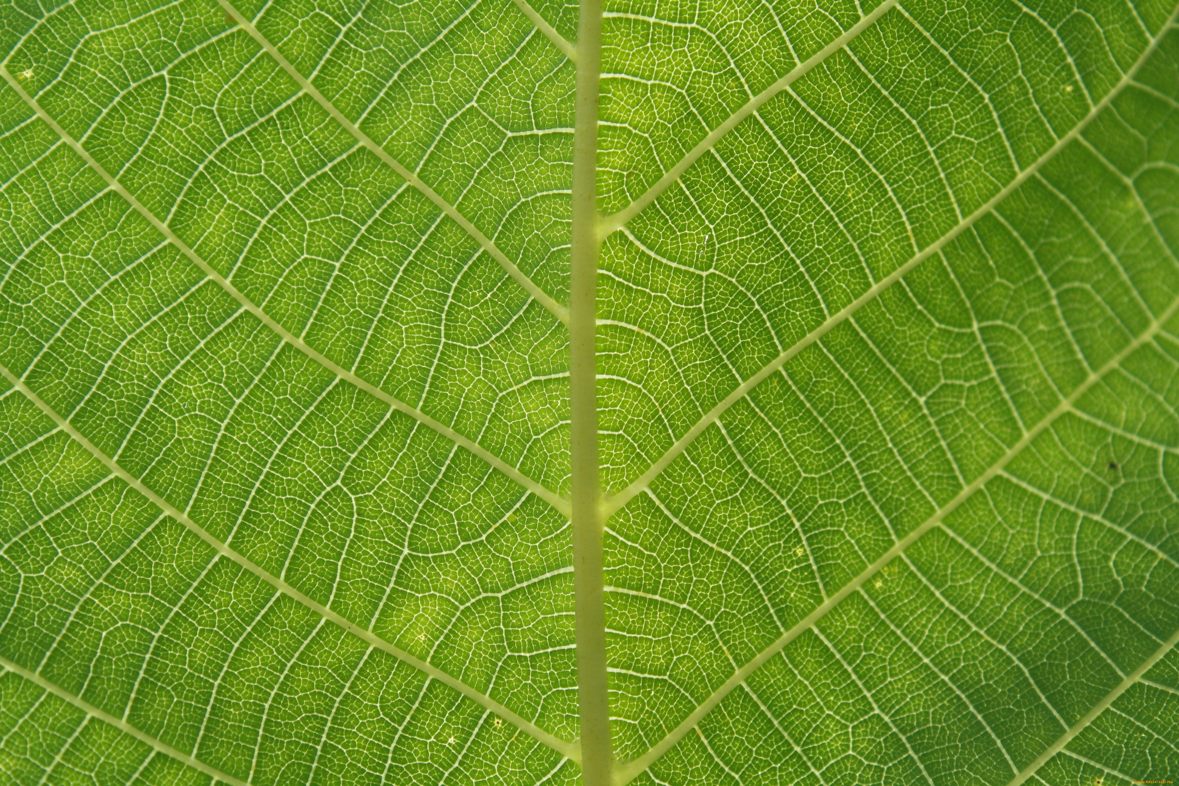 , , , 